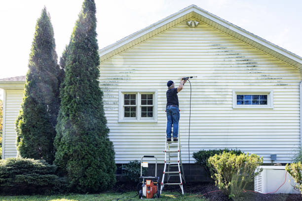 Best Building Exterior Washing  in Chinook, MT